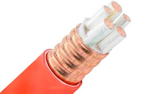 <a href='http://m.sutee.cn/kuangwuzhidianlan/' target='_blank'><u>礦物質(zhì)電纜</u></a>